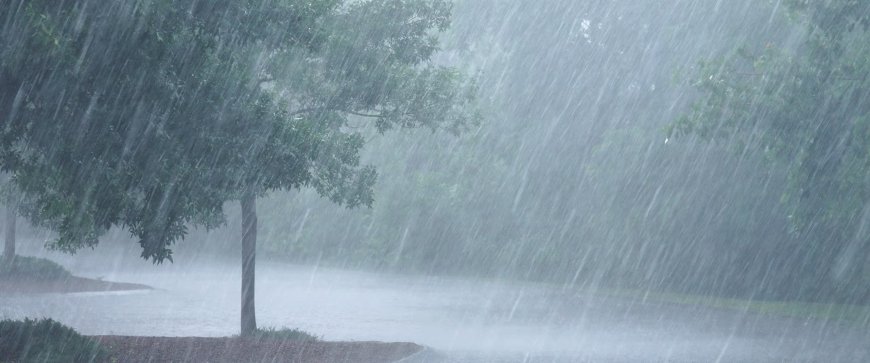 महाराष्ट्रातील वातावरणात बदल! पावसाचा जोर वाढणार, पुढील आठवडाभर कसं असेल हवामान?