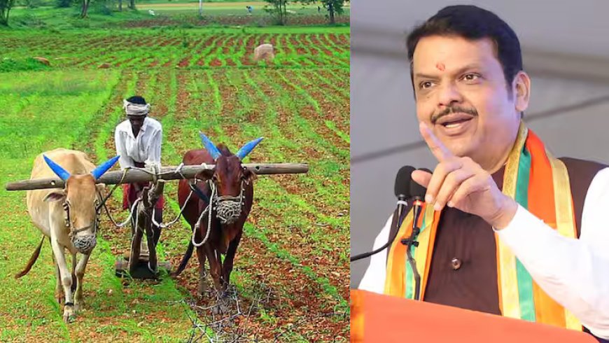 पीक विमा योजनेचा शेवटचा हप्ता कधी मिळणार? शेतकऱ्यांसाठी महत्त्वाची अपडेट