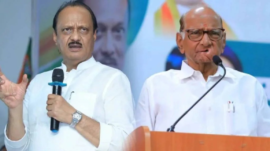 संधीसाधूपणा करणाऱ्यांबरोबर…’, शरद पवारांच्या विधानावर अजित पवारांची चार शब्दांत प्रतिक्रिया; म्हणाले, “प्रत्येकाला