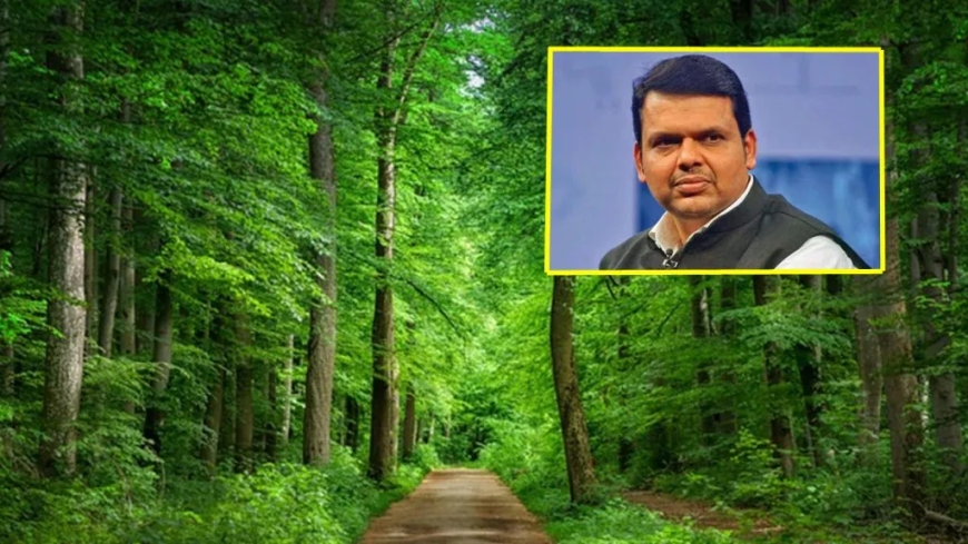 वन अधिकाऱ्यांच्या बदल्यांमध्ये 'घोडेबाजार' थांबवा, वन्यजीव प्रेमींचे मुख्यमंत्र्यांना आवाहन