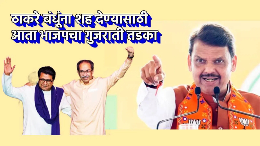 भाजप: आता ठाकरे बंधूंना प्रोत्साहन देण्यासाठी भाजपचा गुजराती तडका; महानगरपालिका निवडणुकीसाठी भाषा कार्ड