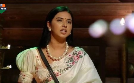 बिग बॉस १९: "आम्हाला यापासून दूर ठेवा"; तान्या मित्तलच्या पालकांची भावनिक विनंती