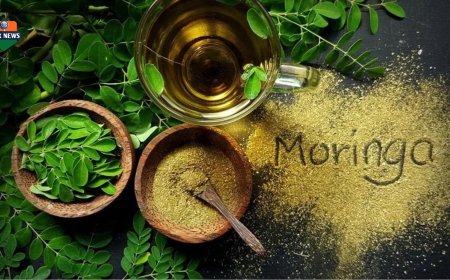 दररोज सकाळी सेगवाच्या (शेवग्याच्या) पानांचे पाणी पिण्याचे ७ आश्चर्यकारक फायदे