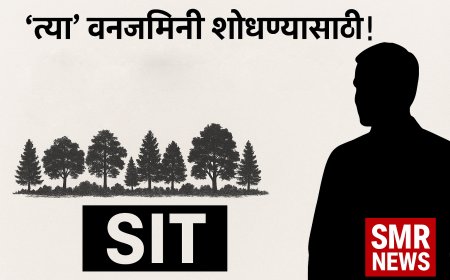 वनजमिनी शोधण्यासाठी ‘एसआयटी’ला ६० दिवसांची !