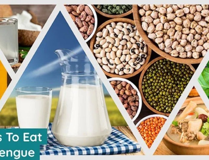 पावसाळ्यात डेंग्यूपासून बचाव कसा करावा? तज्ज्ञांचा सल्ला जाणून घ्या