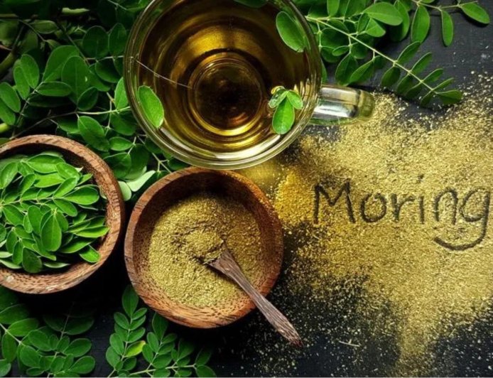 दररोज सकाळी सेगवाच्या (शेवग्याच्या) पानांचे पाणी पिण्याचे ७ आश्चर्यकारक फायदे