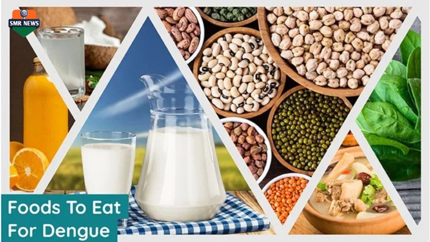 पावसाळ्यात डेंग्यूपासून बचाव कसा करावा? तज्ज्ञांचा सल्ला जाणून घ्या