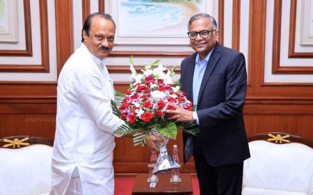 अजित पवार यांची टाटा सन्सच्या प्रमुखांशी भेट, महाराष्ट्र विकासासाठी अन!