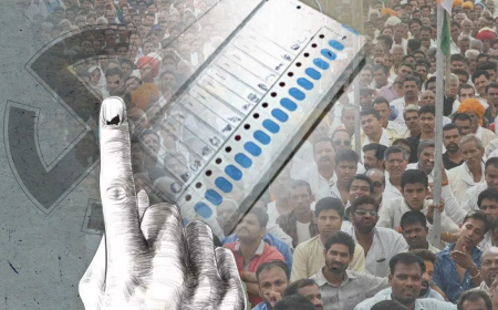 ‘या’ तारखेला स्थानिक स्वराज्य संस्थांच्या निवडणुका होणार, महायुतीच्या नेत्याने फोडली तारीख