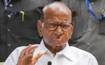 मोठी बातमी! राष्ट्रवादी शरद पवार गट स्थानिक स्वराज्य संस्थांच्या निवडणुकीत गेमचेंजर ठरणार? शरद पवारांनी घेतला सर्वात मोठा निर्णय