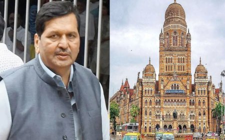 महापौर पदाचा वाद… भाजपमध्येच मतभेद? माजी खासदाराने थेट लोढांनाच फटकारलं, नेमकं प्रकरण काय?