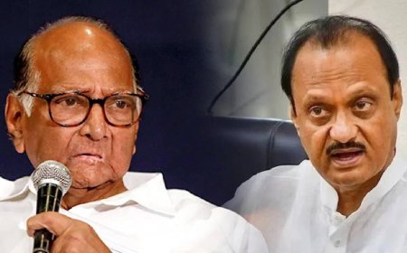 शरद पवारांची डिनर डिप्लोमसी, अजितदादांना निमंत्रण, थेट फोन करून…पडद्यामागे काहीतरी घडतंय?