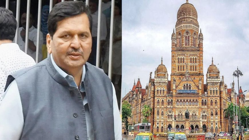 महापौर पदाचा वाद… भाजपमध्येच मतभेद? माजी खासदाराने थेट लोढांनाच फटकारलं, नेमकं प्रकरण काय?