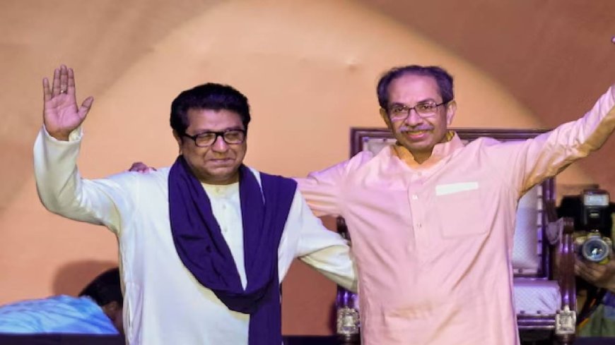 Raj-Uddhav Thackeray Alliance PC : मला वाटतं उत्तर देवांना द्यावीत दानवाना…शेवटी राज ठाकरेच ते, एकावाक्यात जिंकलं VIDEO