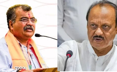 मोठी बातमी! अजितदादांचे भाजपावर भ्रष्टाचाराचे आरोप अन् महायुतीत भूकंप, रवींद्र चव्हाणांंचं सर्वात मोठं विधान