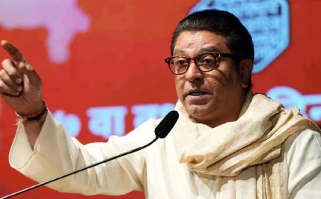 MNS Bmc Election 2026 Candidate : मनसेमध्ये अजून एक भूकंप होणार का? आणखी एका नेत्याच्या नाराजीची जाहीर कबुली