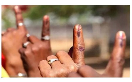 एमआईएम की कुबराबानो ने हासिल किए सबसे अधिक वोट, लीड भी रही सबसे अधिक