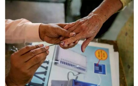 भाजपच्या 'कमळ'ने ६८ जागांवर ३.२७ लाख मते मिळवली.