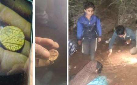 फाईव्ह स्टार हॉटेलसाठी सुरु होतं खोदकाम, इतक्यात झाला पाऊस, मातीतून सोनं चमकलं, अख्खं गावच लोटलं..