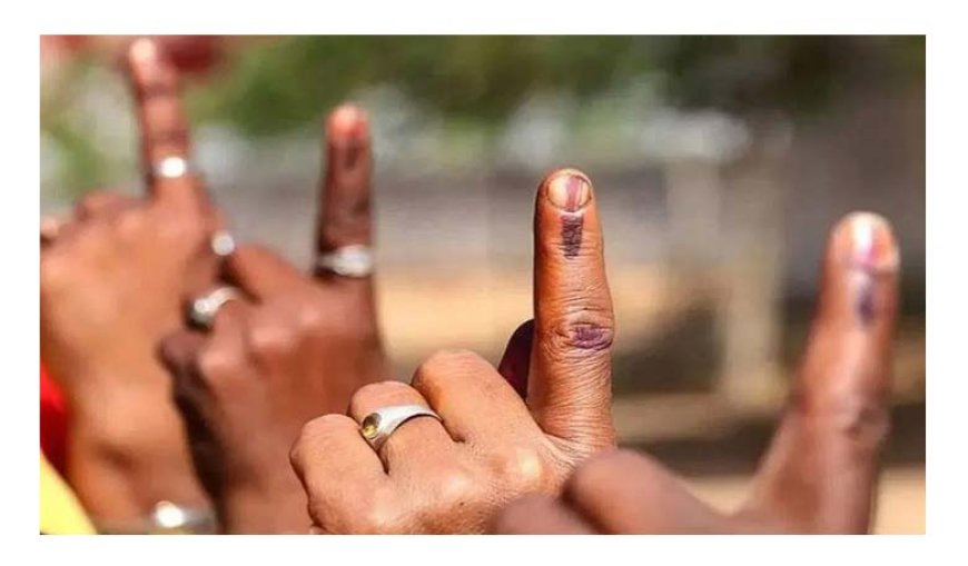 एमआईएम की कुबराबानो ने हासिल किए सबसे अधिक वोट, लीड भी रही सबसे अधिक