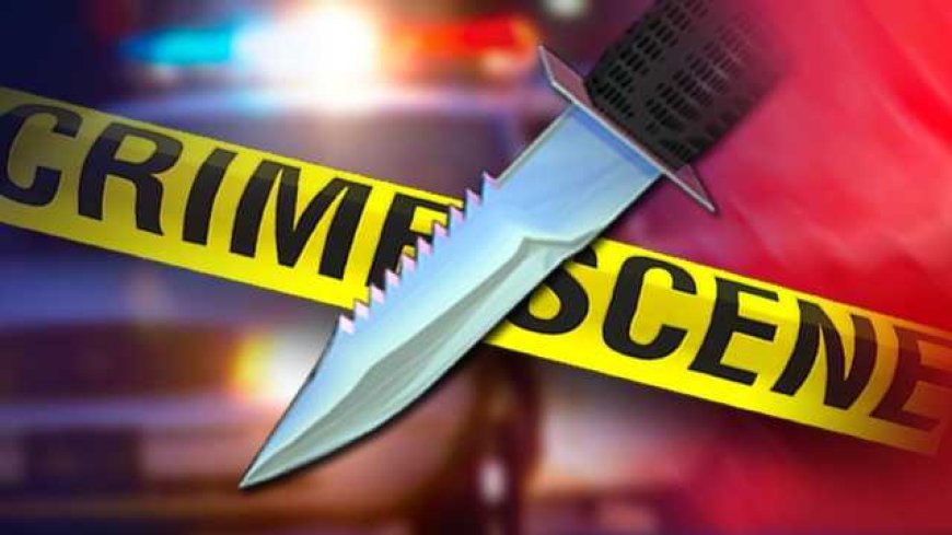 बडनेरा येथे ट्रक चालकावर चाकू हल्ला