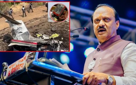Ajit Pawar Plane Crash : 5 की 6, विमानात नक्की किती लोक होते? उज्ज्वल निकम यांनी स्पष्टच सांगितलं