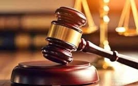 देशी बनावटीची पिस्तूल बाळगणाऱ्या मोहसीनला तीन वर्षांच्या तुरुंगवासाची शिक्षा सुनावण्यात आली.