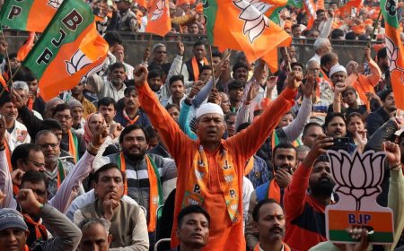 ZP Elections Results: खासदार, आमदार, माजी आमदारांच्या नातेवाईकाचं काय झालं? पहा एका क्लिकवर