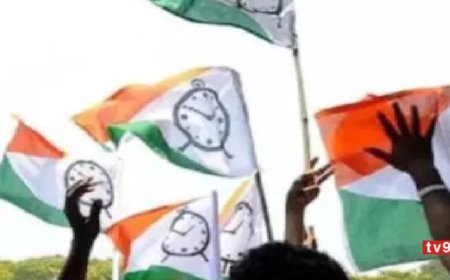 अजितदादांच्या राष्ट्रवादीने गड राखला, पुणे जिल्हा परिषदेवर एक हाती सत्ता, विजयी उमेदवारांची संपूर्ण यादी