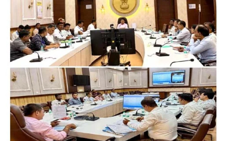 वर्धा प्रकल्प कळवा सल्लागार समितीची बैठक झाली