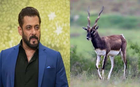 सलमान खानचं काय होणार? काळवीट शिकार प्रकरणात न्यायालयात महत्त्वाची सुनावणी; सर्वात महत्त्वाचा दिवस!