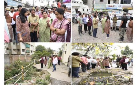 आयुक्त सौम्या शर्मा यांनी अंबादेवी आणि देसाई लेआउटला भेट दिली
