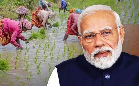 PM Kisan Samman Nidhi : लाखो शेतकऱ्यांना जबर धक्का, सन्मान निधीचे 2000 रुपये मिळणार नाहीत; कारण काय?