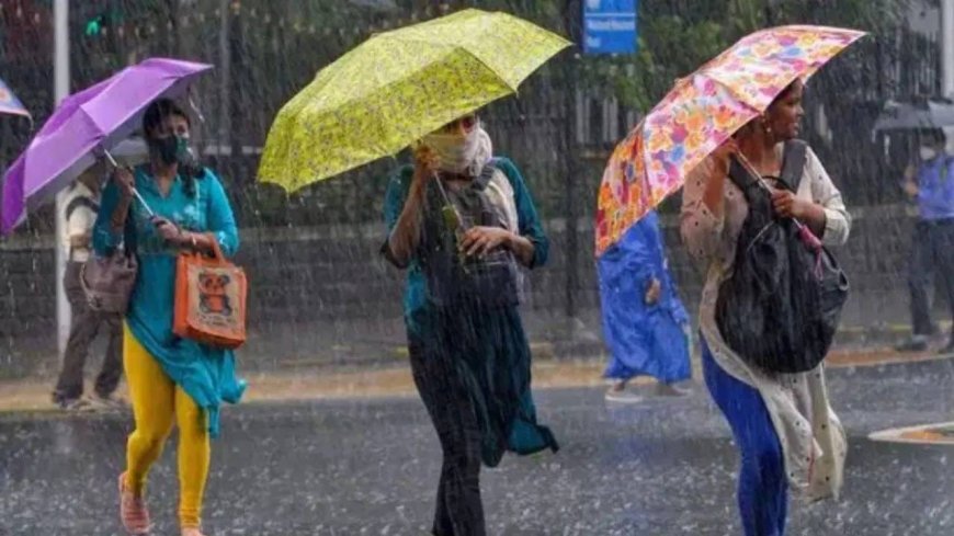 Rain Update : महाराष्ट्रात मुसळधार पावसाचं संकट, 11 जिल्ह्यांमध्ये अलर्ट; तुमच्याकडे सरी बरसणार का?