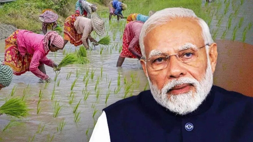 PM Kisan Samman Nidhi : लाखो शेतकऱ्यांना जबर धक्का, सन्मान निधीचे 2000 रुपये मिळणार नाहीत; कारण काय?