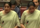 पाणावलेले डोळे, जड आवाज अन्… सुनेत्रा पवारांचे विधानपरिषदेत पहिलेच भाषण; शेवटी म्हणाल्या अरे संसार संसार…