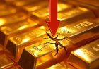 Gold Rate: सर्वात मोठी खुशखबर! युद्ध असूनही सोनं जोरदार आपटलं, एकाच दिवसात तब्बल इतक्या रुपयांची घसरण; 10 ग्रॅमचा भाव आता थेट…