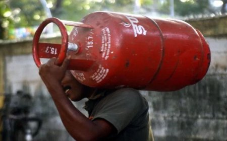 मोठी बातमी! अखेर इंधन तुटवड्यावर पर्याय शोधला, सरकारची सर्वात मोठी घोषणा, आता हा पदार्थही इंधनासाठी वापरात येणार