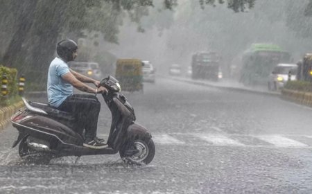 IMD Weather Update : पुढील 48 तासांमध्ये महाराष्ट्रावर मोठं संकट, 7 जिल्ह्यांना हाय अलर्ट, पावसाचा मोठा इशारा
