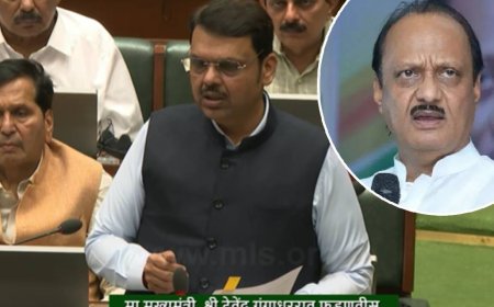 कर्नाटकला तो अधिकारच नाही, फडणवीसांनी सांगितला अजितदादा अपघातातील झिरो FIR चा कायदा!