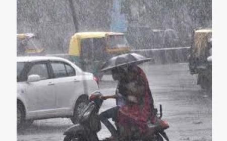 यवतमाळमध्ये पावसाचा यलो अलर्ट.