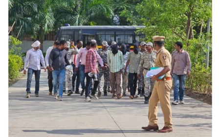 सर्व पाच गुन्हेगारांना न्यायालयीन कोठडीत तुरुंगात पाठवण्यात आले.