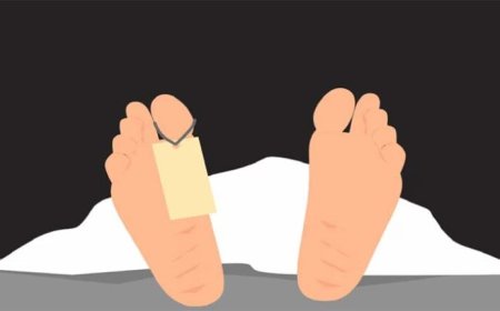 ट्रक आणि कारच्या धडकेत महिलेचा मृत्यू