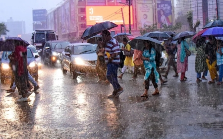 Rain Alert : आठवड्याच्या पहिल्याच दिवशी भयंकर संकट, महाराष्ट्रातील 19 जिल्ह्यांना पाऊस झोडपणार, या राज्यांनाही गंभीर इशारा