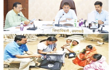 जिल्ह्यातील ६८ भागांमध्ये ४६३९ गणक मोजणी करतील.