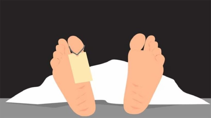 ट्रक आणि कारच्या धडकेत महिलेचा मृत्यू