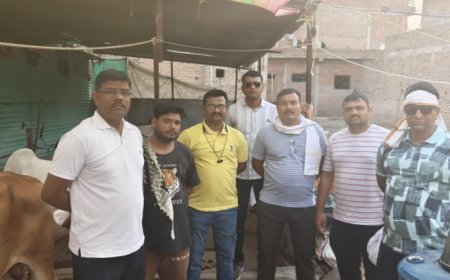 बकरी ईदपूर्वी अमरावतीत गुन्हे शाखेची कारवाई; कत्तलीसाठी डांबलेले ११ गोवंश मुक्त