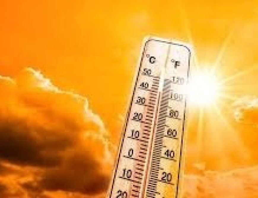 हीट वेव का कहर बढ़ा, विदर्भ में रेड अलर्ट जारी